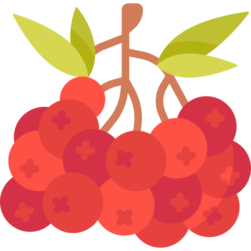 Berry