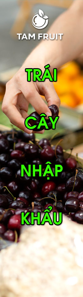 TRÁI CÂY NHẬP KHẨU