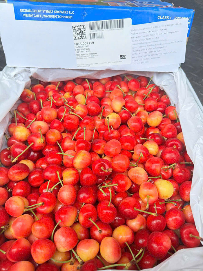 cherry vàng