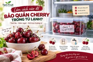 Làm Cách Nào Để Bảo Quản Cherry Trong Tủ Lạnh Tươi Lâu?